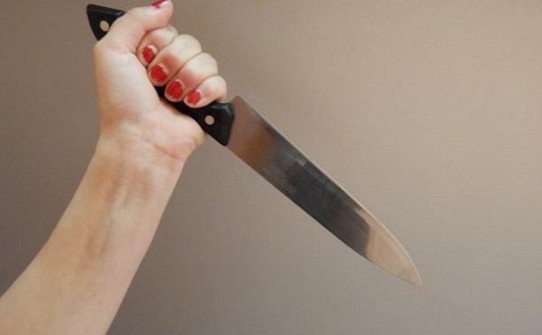 Жительница Шильды ударила мужа ножом в живот